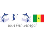 Blue Fish — référence client Vigilus Facilities au Sénégal