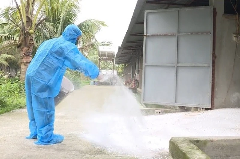 Disinfection & Sanitation