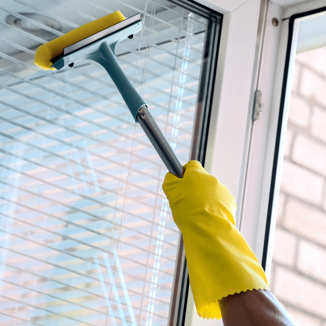 Professional Window Cleaning